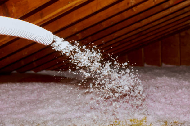 Best Insulation Maintenance and Repair in Mayville, WI
