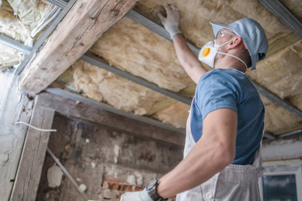 Types of Insulation We Offer in Mayville, WI