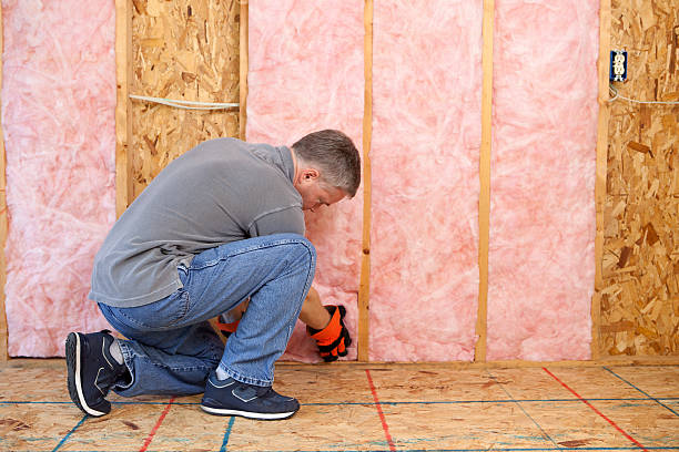 Best Commercial Insulation in Mayville, WI