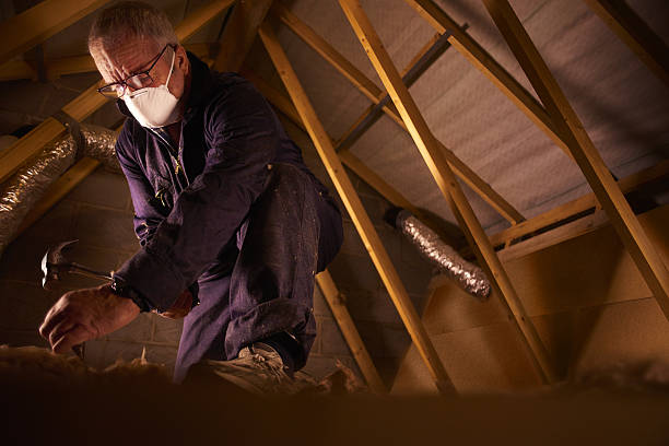 Best Spray Foam Insulation in Mayville, WI