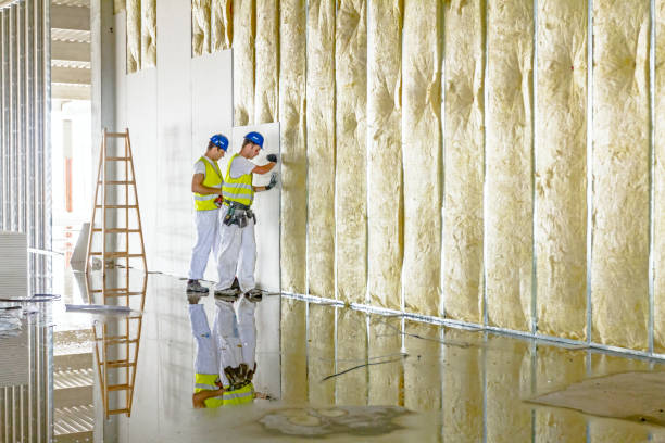 Best Specialized Insulation Services in Mayville, WI
